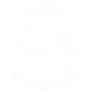 Essaouira Horse Paradise