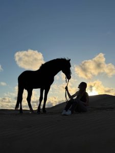 02-essaouira-horse-paradise-gallery