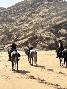04-essaouira-horse-paradise-gallery