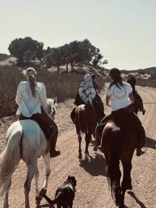 07-essaouira-horse-paradise-gallery