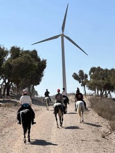 12-essaouira-horse-paradise-gallery