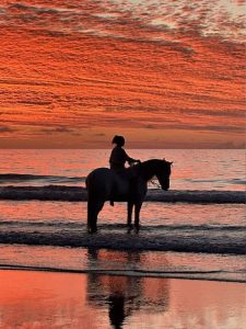 16-essaouira-horse-paradise-gallery