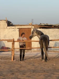 18-essaouira-horse-paradise-gallery