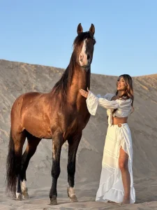 20-essaouira-horse-paradise-gallery
