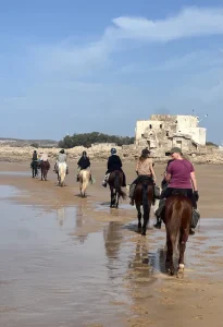 21-essaouira-horse-paradise-gallery