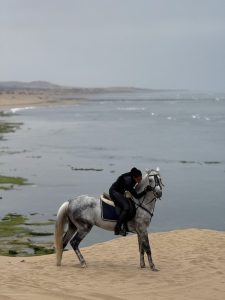 24-essaouira-horse-paradise-gallery