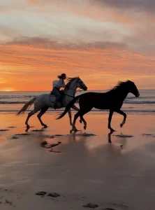 27-essaouira-horse-paradise-gallery