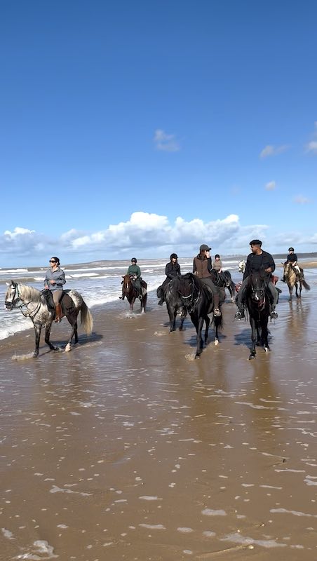 Argan and coast trek image 1