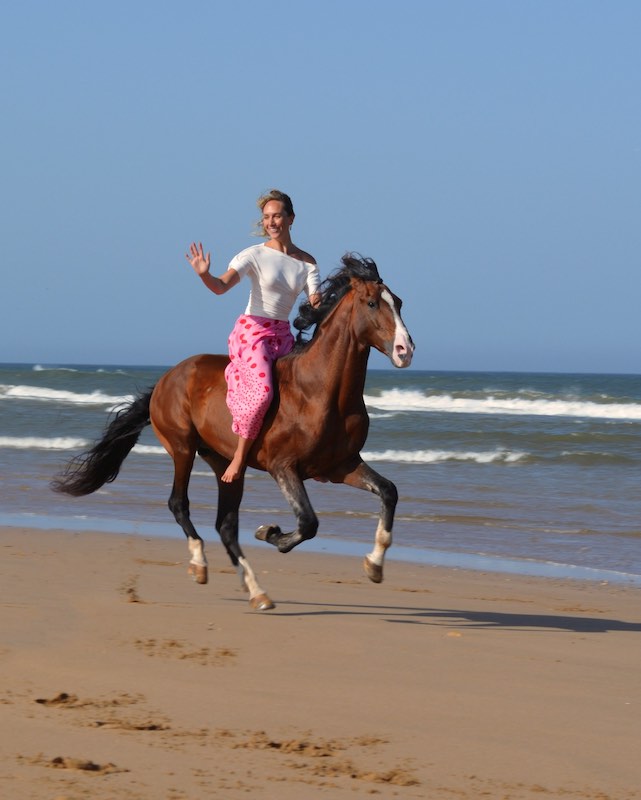 Horse shooting riding without a bridle