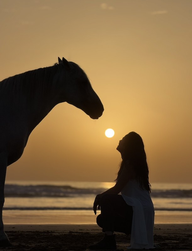 Special horse shooting with stallions on the beach