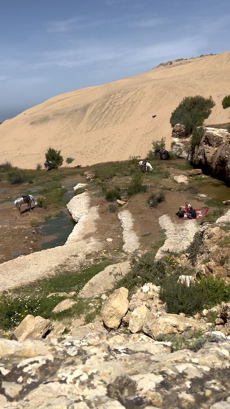 Argan and coast trek image 2