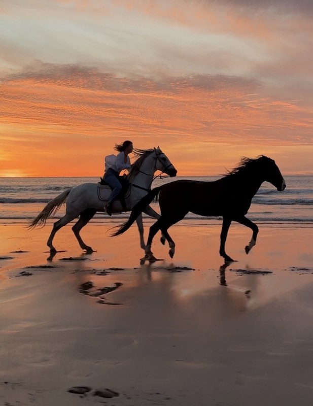Horse shooting riding next to a free horse